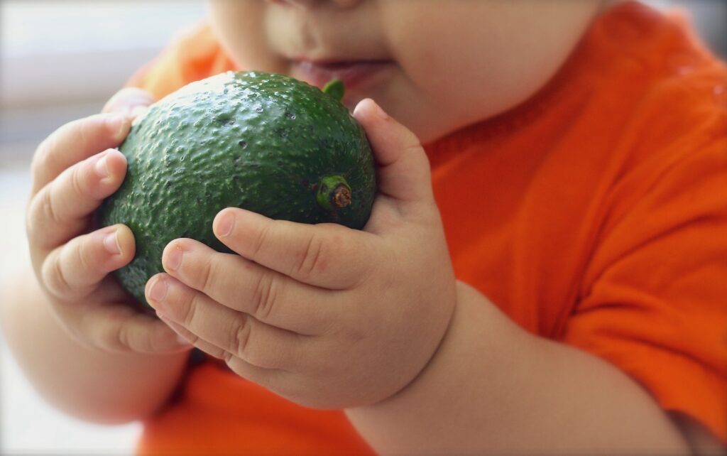 Programação Metabólica | Nutri das Mamães | Maria Angélica | Nutrição Online | Introdução Alimentar | 6 meses do bebê